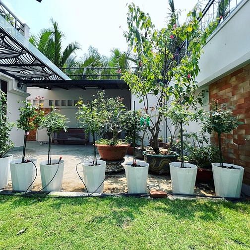 Hình ảnh Cho Thuê nhà GÓC 2MT đường Phan Văn Trị, phường 11, Bình Thạnh!