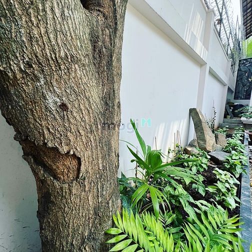 Hình ảnh Cho Thuê nhà GÓC 2MT đường Phan Văn Trị, phường 11, Bình Thạnh!
