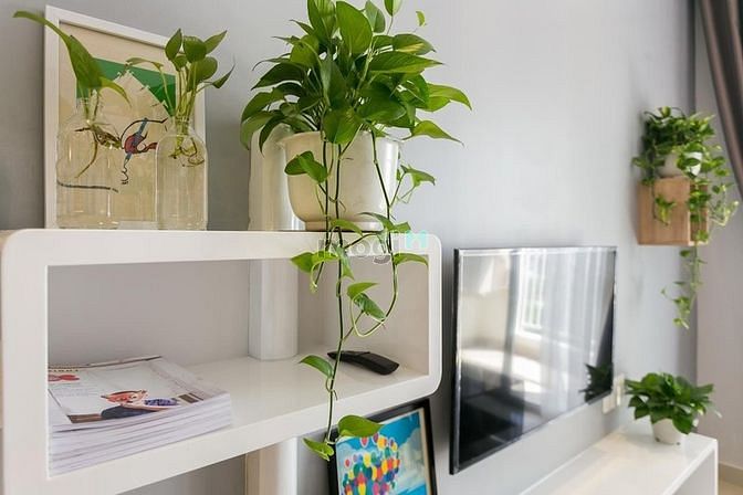 Hình ảnh Căn Hộ 2PN2WC Full Nội Thất Phòng Rộng Có Ban Công Gần Sân Bay