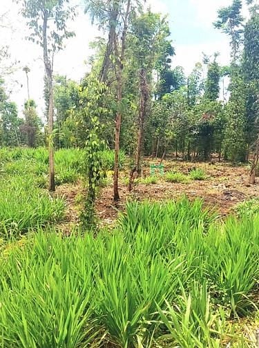 Hình ảnh Bán lô đất thổ cư 202m2, đường bê tông, dân đông, giá 660 triệu