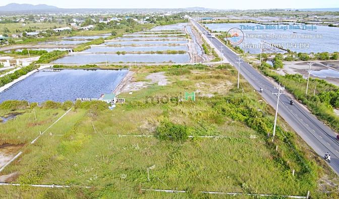 Hình ảnh Bán 1000m2 đất có thổ cư MT ĐT 719 view biển đón gió, ngay khu dân cư,