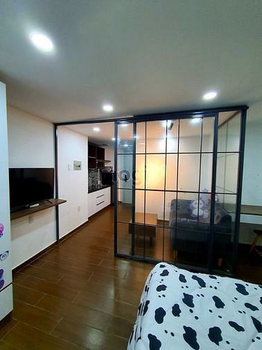 Hình ảnh Căn 1PN FULL NT 45m2 gần chợ Bến Thành, ĐH Hoa sen Quận 1