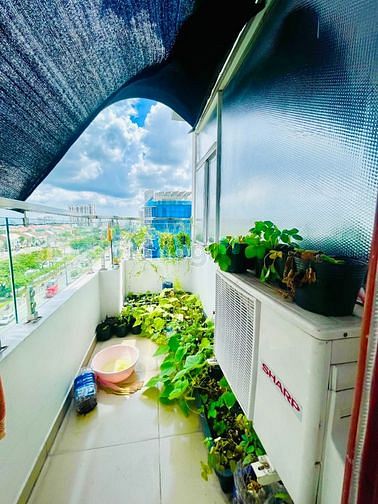 Hình ảnh Studio có view sông thoáng mát ngay tại quận 5, kế quận 1