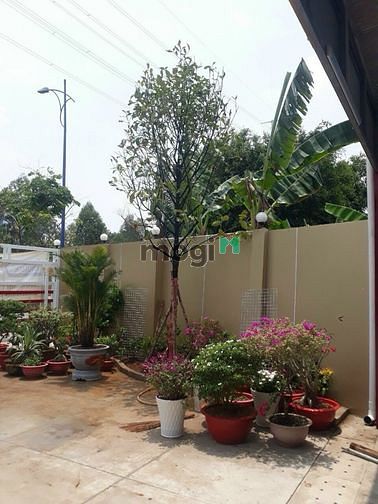 Hình ảnh ✅ Bán đất gần UBND Quận 2 - mặt tiền đường Đồng Văn Cống