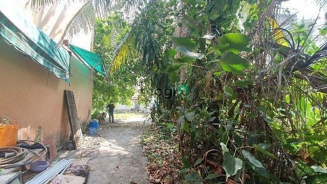 Hình ảnh 🔥MT NGUYỄN VĂN QUÁ - NỞ HẬU QUẬN 12 - Diện Tích Quá Khủng - 95 tỷ