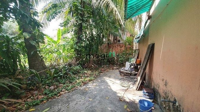 Hình ảnh 🔥MT NGUYỄN VĂN QUÁ - NỞ HẬU QUẬN 12 - Diện Tích Quá Khủng - 95 tỷ