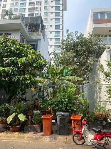Hình ảnh ✅ Bán đất Thảo Điền - Bán Đất quận 2 - Khu compound