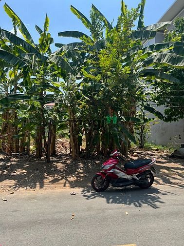 Hình ảnh BÁN Biệt Thự Mini, An Phú Quận 2 . Giá 42 tỷ