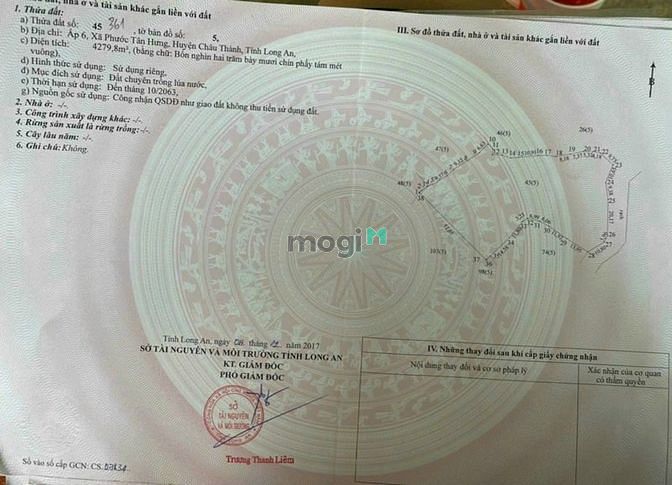 Hình ảnh Chính chủ bán đất thổ, lúa Giá Trang MB66.COM Chính Thức - MB 66 Uy Tín ở CHÂU THÀNH, LONG AN