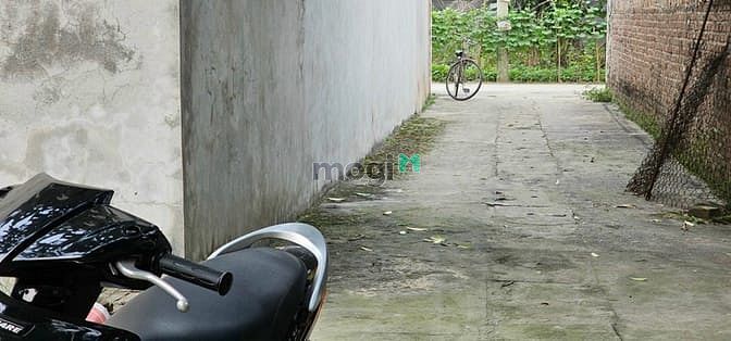 Hình ảnh Bán hơn 60m đất khê nữ, nguyên khê -oto vào đất