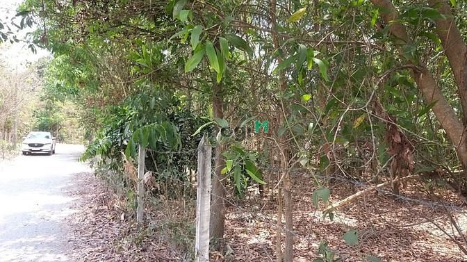 Hình ảnh Bán Đất Mặt tiền –Lô góc 2 Mặt đường-Rộng 19m-Chỉ 6,7 tỷ