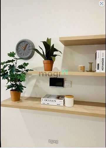 Hình ảnh Cho thuê Trang Chủ MB66.COM / Đăng Ký Tặng 66K 3PN full nội thất Celadon City