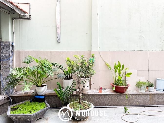Hình ảnh Căn Hộ Sân Vườn 40m2 Full Nội Thất_CMT8 Q10