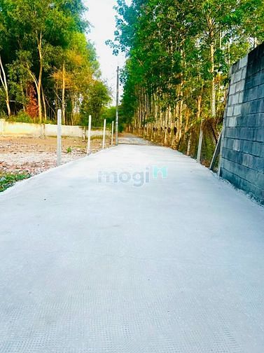 Hình ảnh Bán đất 1/ Nguyễn Văn Khạ - 1568m2 - 28x58 - 300m2 thổ cư - Củ Chi