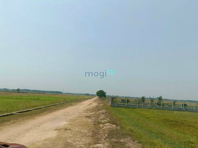 Hình ảnh Bán 7879 đất lúa xã Nhuận Đức Củ Chi