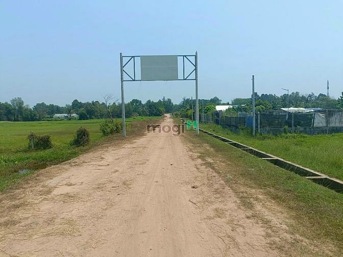Hình ảnh Bán 7879 đất lúa xã Nhuận Đức Củ Chi
