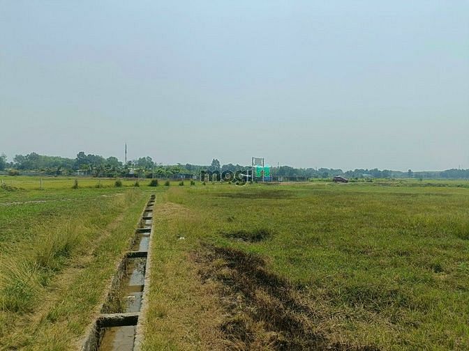 Hình ảnh Bán 7879 đất lúa xã Nhuận Đức Củ Chi