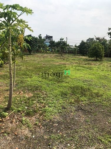 Hình ảnh Bán đất thổ 2482m đường Đoàn Nguyễn Tuân, Bình Chánh
