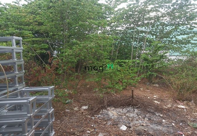Hình ảnh Cần cho thuê đất 4x17,5m 6tr/th hẻm xe hơi Nguyễn Xiển (Gần Vinhomes)