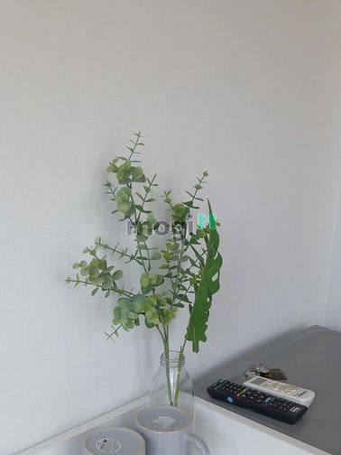 Hình ảnh Cho thuê Trang Chủ MB66.COM / Đăng Ký Tặng 66K dịch vụ quận 1 phường Bến Nghé 💞 Lê Thánh Tôn