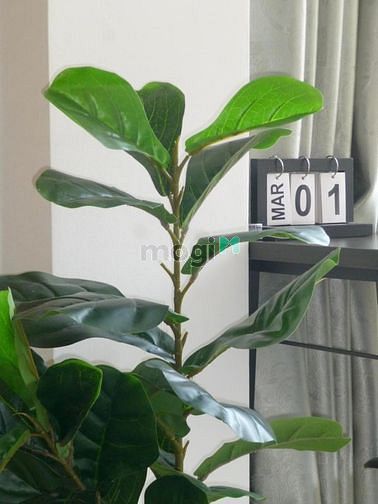 Hình ảnh Cho thuê Trang Chủ MB66.COM / Đăng Ký Tặng 66K dịch vụ quận 1 phường Bến Nghé 💞 Lê Thánh Tôn