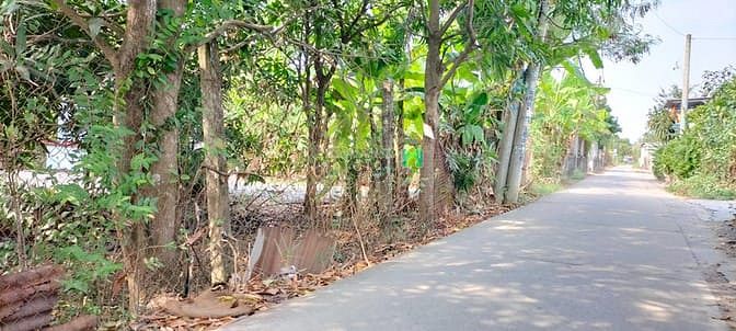 Hình ảnh Bình Chánh, Bán đất thổ cư, DT 12x20m 300m2, Chỉ 4.3 tỷ