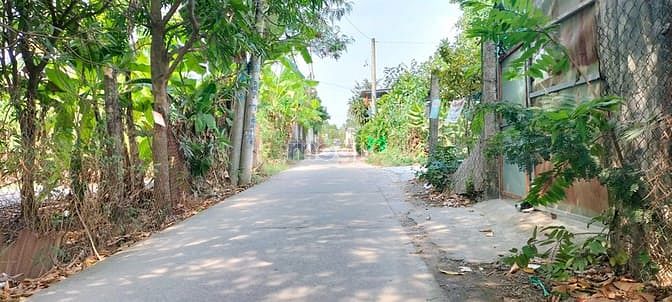 Hình ảnh Bình Chánh, Bán đất thổ cư, DT 12x20m 300m2, Chỉ 4.3 tỷ