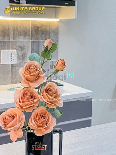 Hình ảnh Siêu phẩm STUDIO-FULL NT-BANCON gần cv Lê Thị Riêng sát toà Viettel