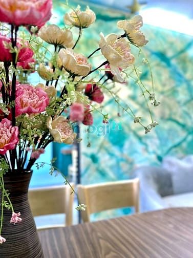 Hình ảnh Siêu phẩm quận Tân Bình Trang Chủ MB66.COM / Đăng Ký Tặng 66K full nội thất ngay gần sân bay