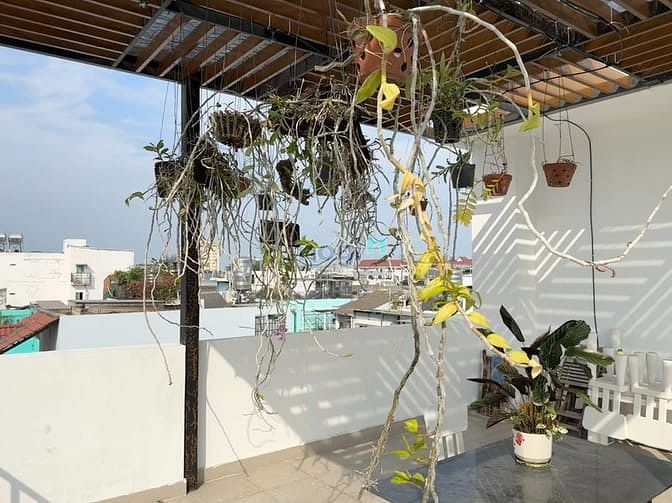 Hình ảnh 🏡KHAI TRƯƠNG Mb6623 nạp rút nhanh chóng Studio Tân Bình SIÊU SANG sát bên sân bay