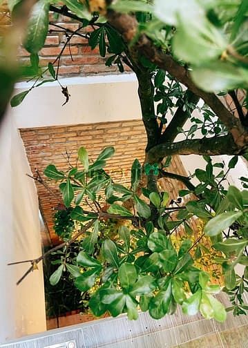 Hình ảnh Mặt tiền Hải Sơn bán nhà 3 tầng mặt tiền trải nhựa đường 4m Hải Châu