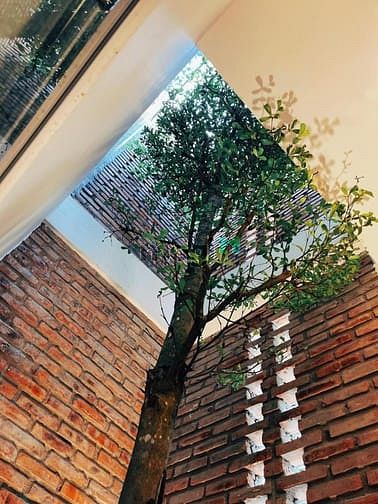 Hình ảnh Mặt tiền Hải Sơn bán nhà 3 tầng mặt tiền trải nhựa đường 4m Hải Châu