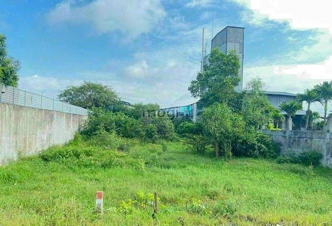 Hình ảnh Hóc Môn, Bán Đất Kênh 10, Nguyễn Văn Bứa, Dt 20x50m