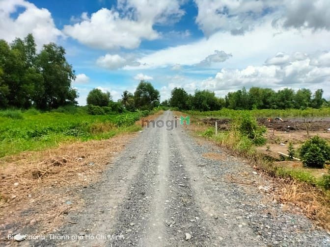 Hình ảnh Bình Chánh, Bán Đất NN, Vườn Thơm, DT 52 x 180m