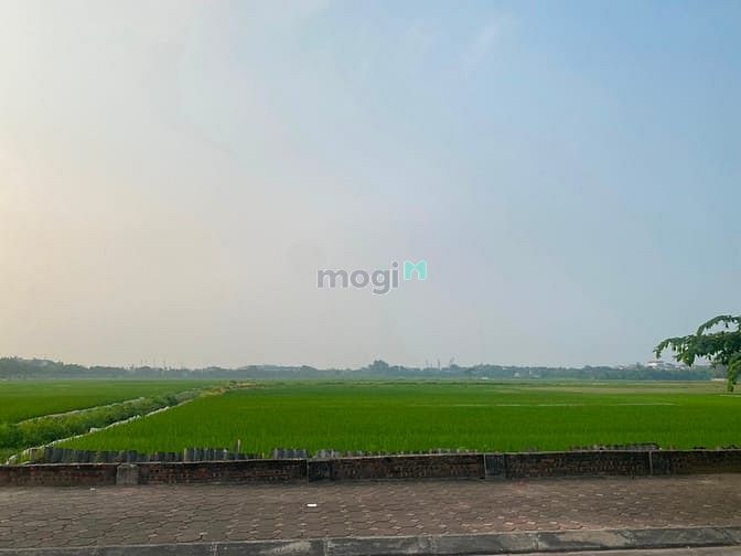 Hình ảnh Bán đất mặt phố Mai Chí Thọ, view cánh đồng lúa, view triệu đô