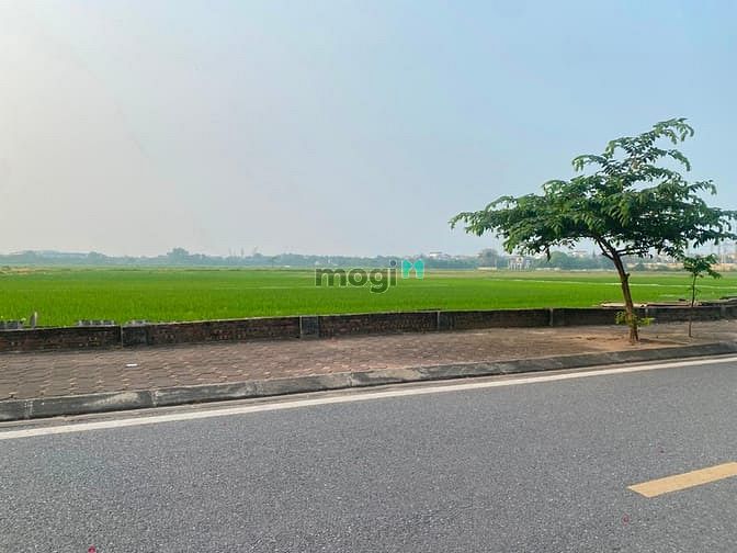 Hình ảnh Đất tái định cư Giang Biên, view triệu đô, ở sướng