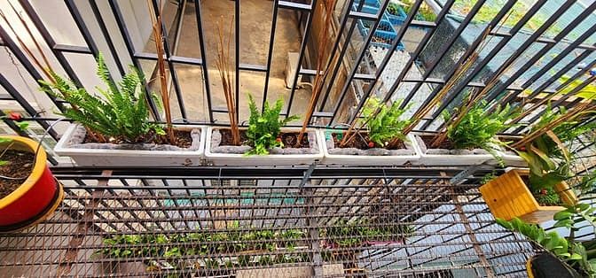 Hình ảnh ✅CHO THUÊ CH STUDIO Ban Công Siêu Thoáng_Full Nội Thất_Phạm Viết Chánh