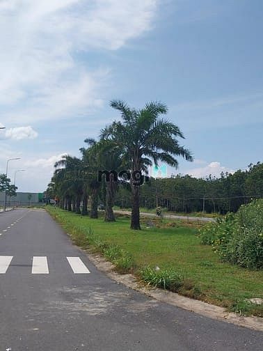 Hình ảnh Bán nhanh 30 nền đất đường Nguyễn Hoàng,An Phú,Q.2,giá 2tỷ250/80M2.SHR