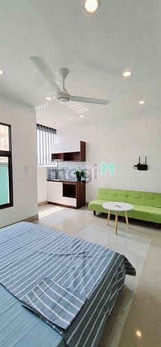 Hình ảnh CHDV Studio Cửa Sổ Sân Bay- Thang máy - KV Sân Bay TSN-Tân Bình