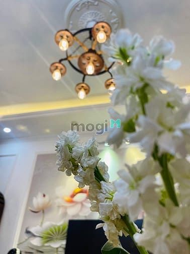 Hình ảnh Bán nhà phố Ngọc Lâm, phố ẩm thực Long Biên,