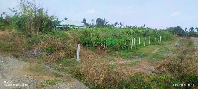 Hình ảnh Bán đất 1/ sông Sài Gòn - 3381m2 - 40x94 - xã Trung An - Củ Chi