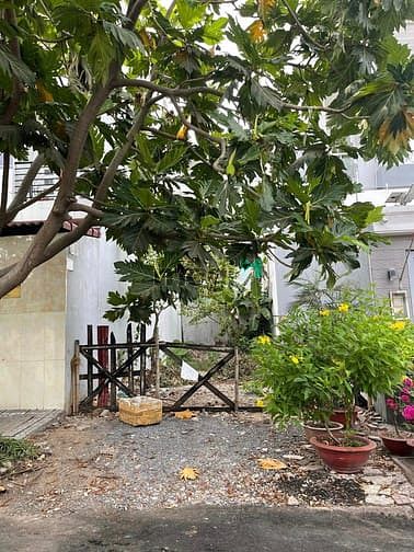 Hình ảnh Còn sót miếng đất trống, kdc bình lợi, quận bình thạnh, xây dựng tự do
