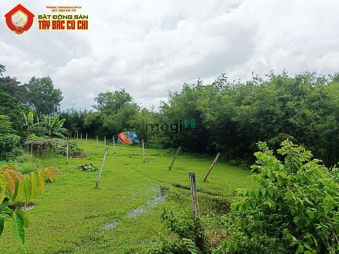 Hình ảnh Bán đất đường Võ Văn Điều - 427m2 - 6x71 - 300m2 thổ cư - Củ Chi
