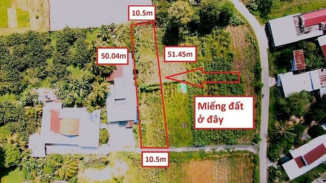 Hình ảnh Bán đất 1/ đường 693 - 531m2 - 10.5x51 - 300m2 thổ cư - xã Thái Mỹ