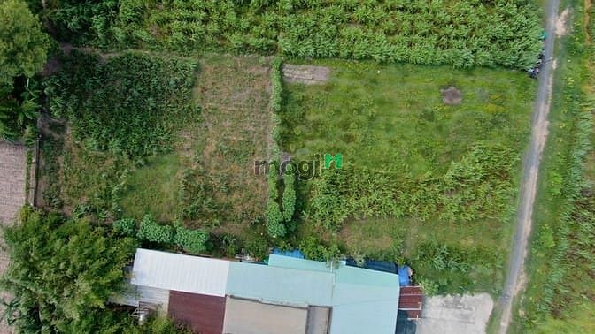 Hình ảnh Bán đất 1/ đường 693 - 531m2 - 10.5x51 - 300m2 thổ cư - xã Thái Mỹ