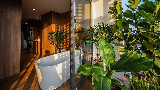 Hình ảnh Siêu phẩm ban công view đẹp, máy giặt riêng gần Vạn Hạnh Mall Quận 10