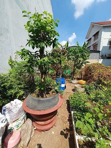 Hình ảnh Đất phân lô 100m2, Ngang 5m, chợ Phước Long gần Global, chỉ 6.6 tỷ TL
