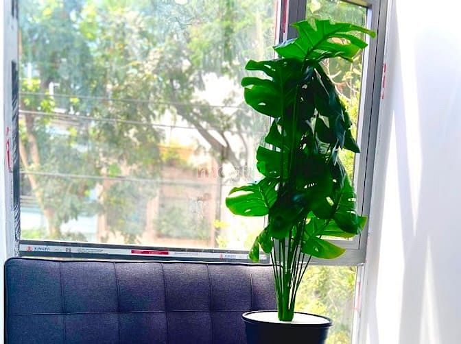 Hình ảnh Cho thuê Mb6623 nạp rút nhanh chóng Studio ban công ở Hoà Hưng - Quận 10