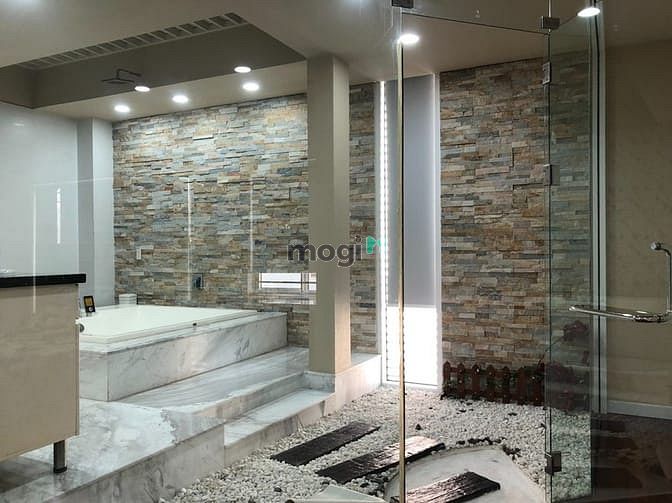 Hình ảnh Biệt thự khu Ao Sen Tên Lửa, Bình Tân, 10x20m, có hầm,nội thất cao cấp
