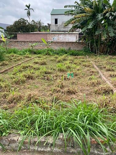 Hình ảnh Đất Phú Hạ Minh Phú Sóc Sơn HN, 70m2 MT5m, ô tô đỗ